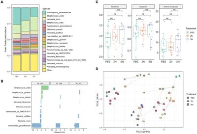 Interactions and effects of a stannous-containing sodium fluoride dentifrice on oral pathogens and the oral microbiome